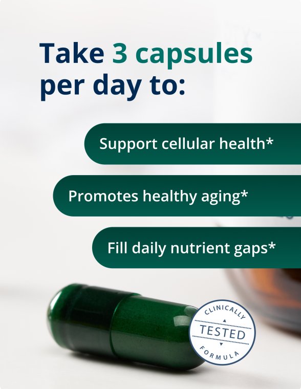 Phytomulti Multivitamin