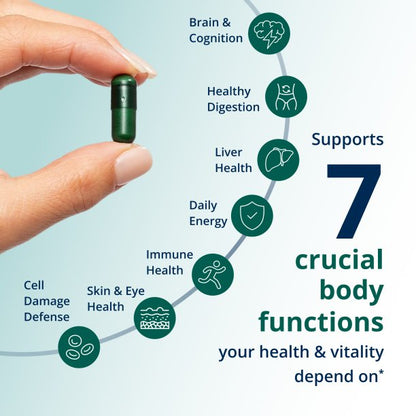 Phytomulti Multivitamin